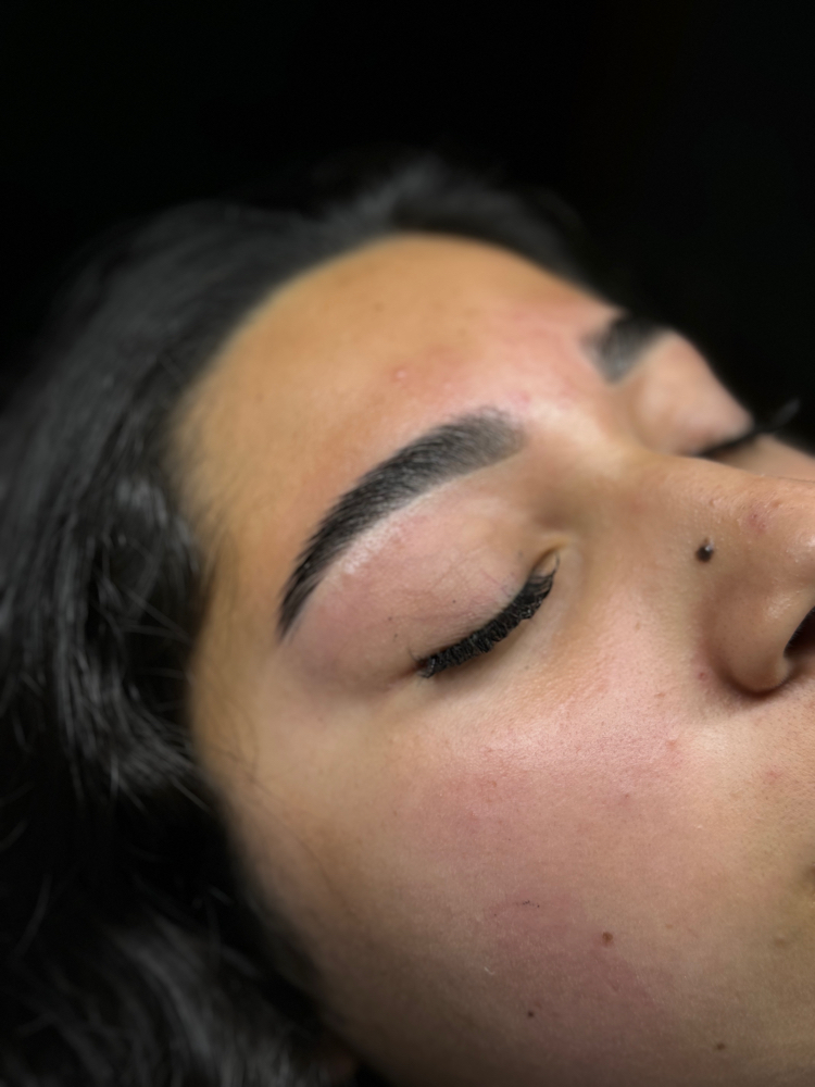 Brow Lami x Shaping x Tint