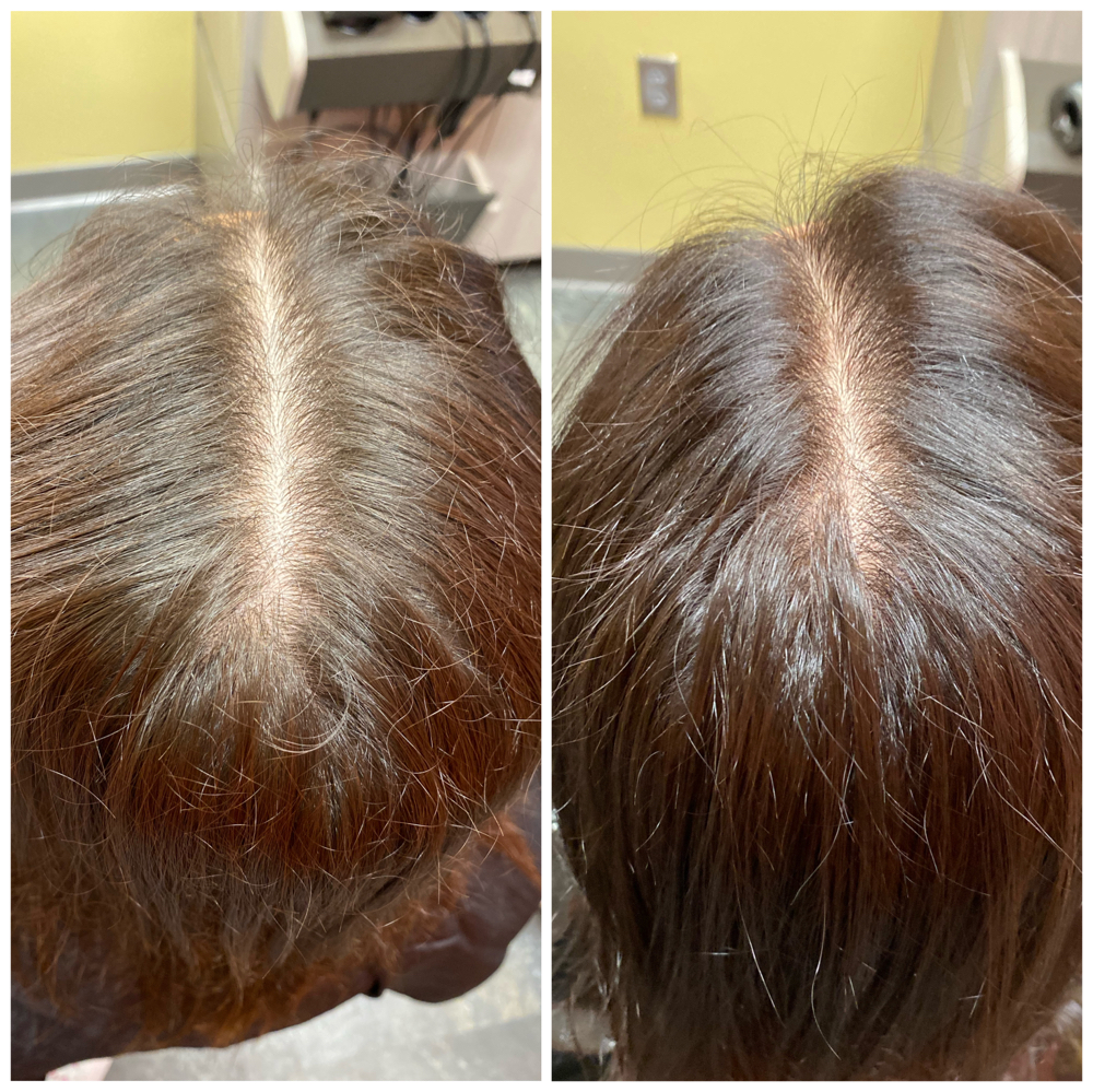 Root touch up (Single Color)