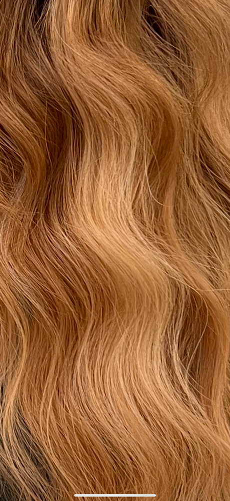 Gloss/ Toner Refresh + Cut