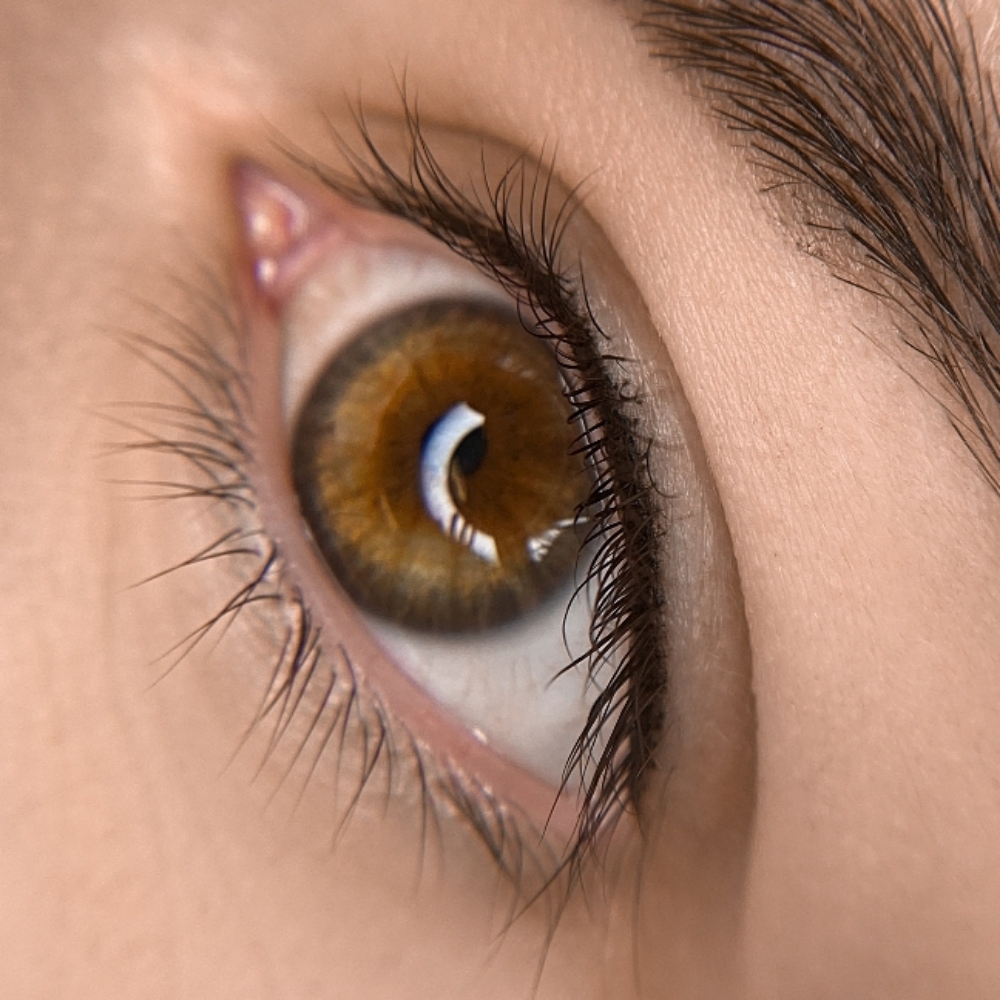 Lash Liner Initial Procedure at INKcredible Beauty Studio in Modesto, CA