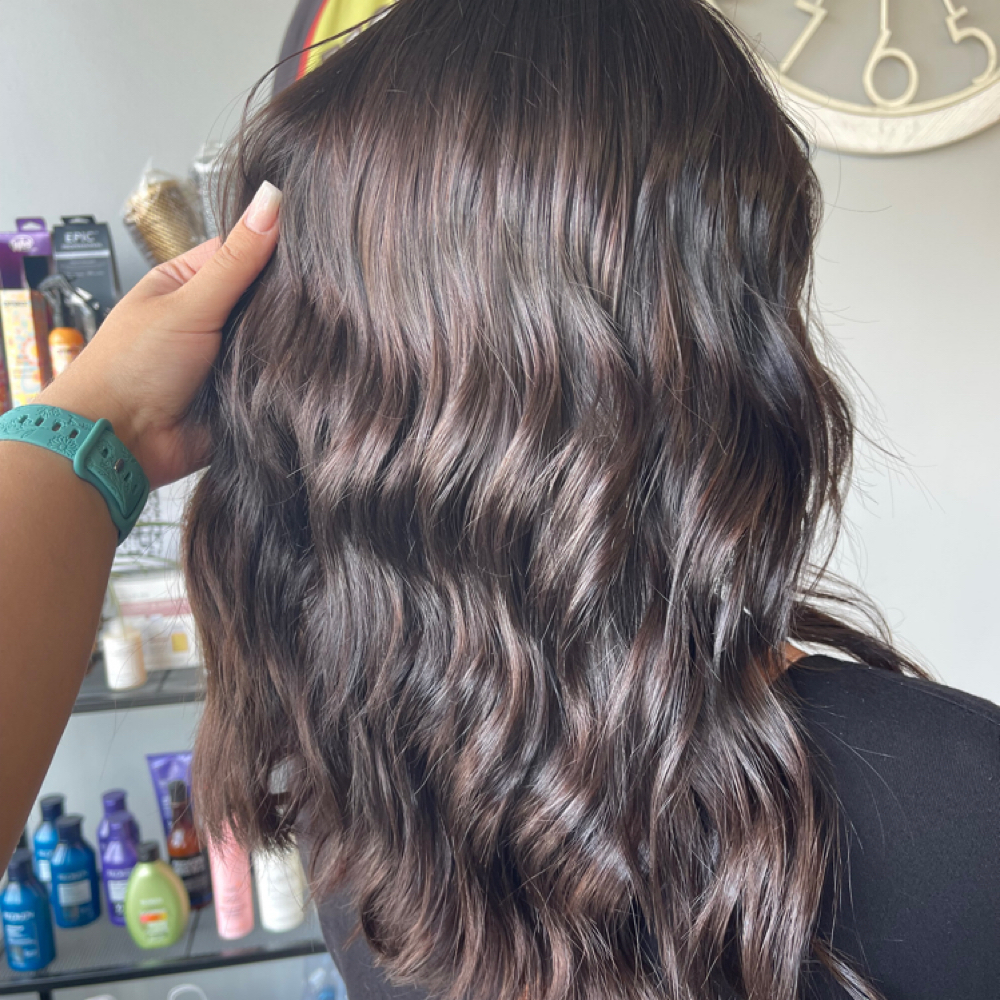 Full Lowlight at Kayla Nicole Hair in Memphis, MI