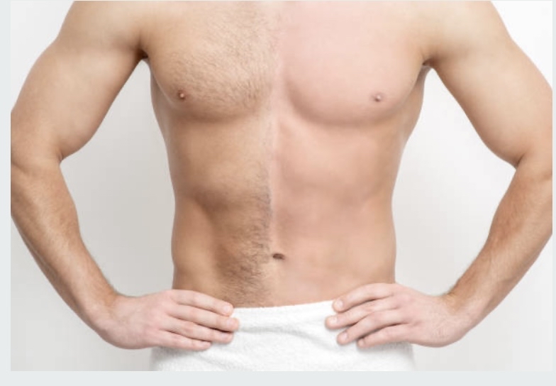 Chest And Stomach