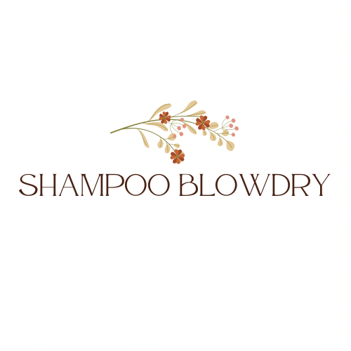 Shampoo Blowout