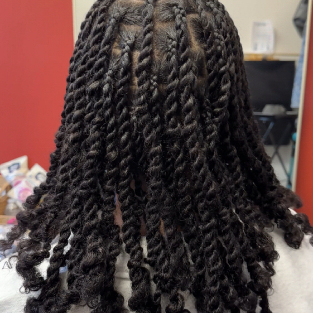 Knotless 2 Strand Twists at Follicle & Foundation Natural Hair Care in Marietta, GA
