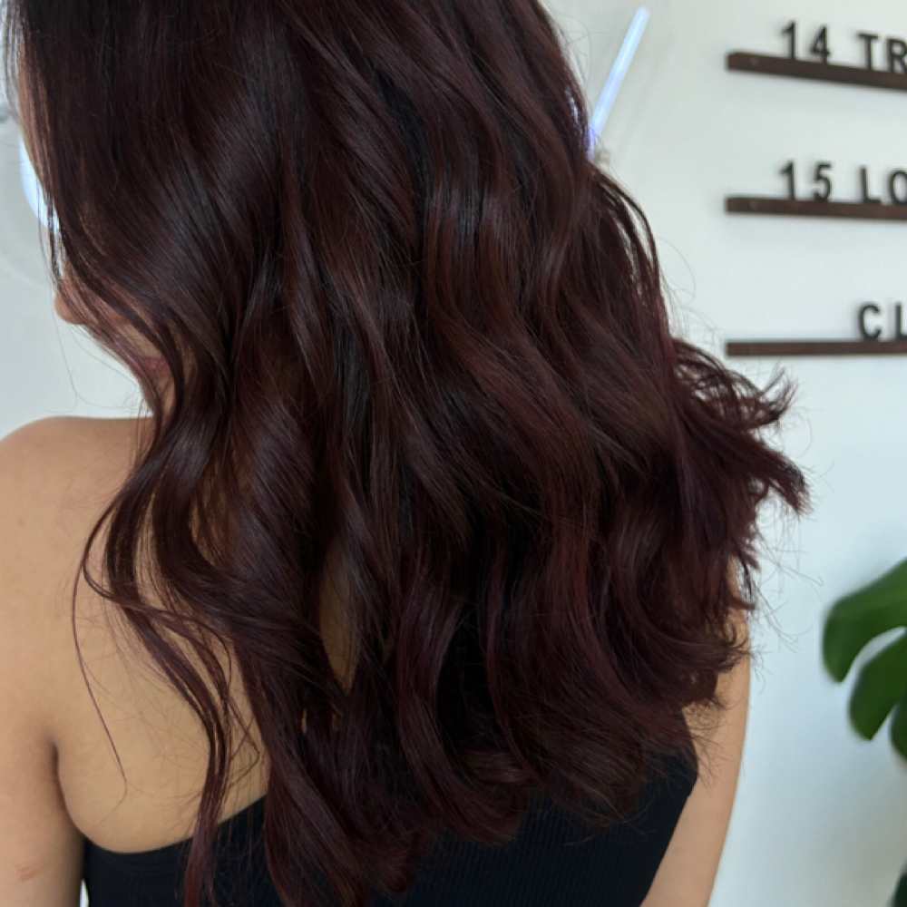Gloss Refresh at CLARA COLOR.CO in Overland Park, KS