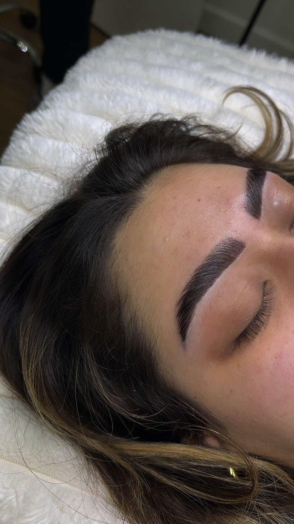 Stargirl Brow Package