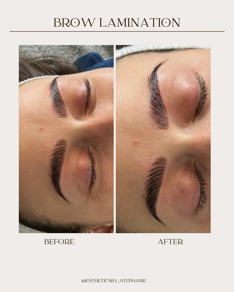 Brow Lamination, Wax, And Tint