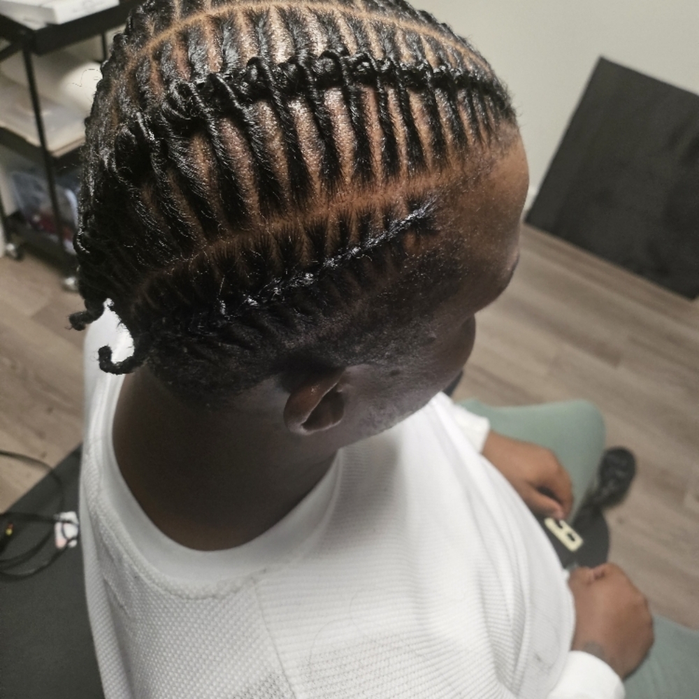Barrel Twist W/natural Hair at Braidz Etc in Phoenix, AZ