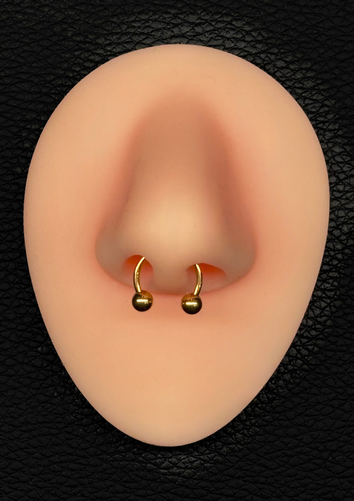 Septum at Anthem Piercing & Tattoo in North Salt Lake, UT