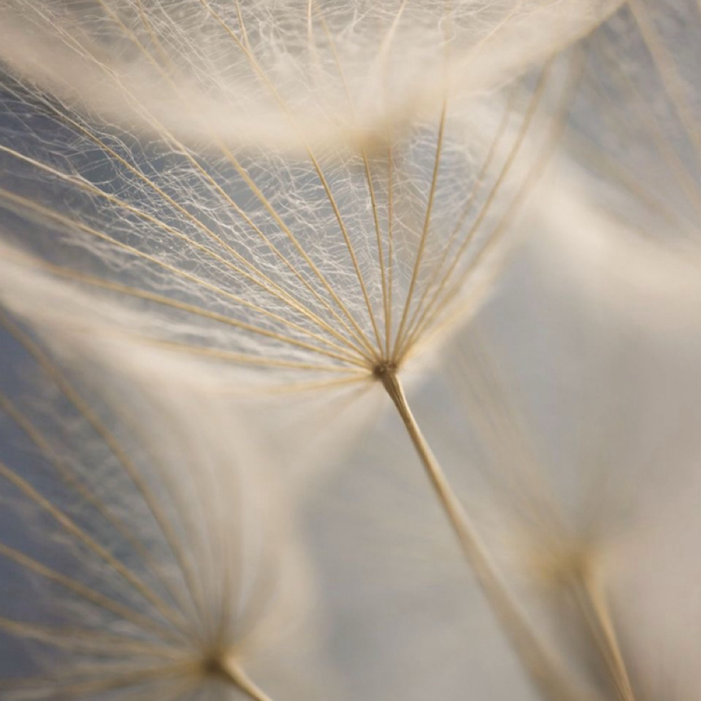 Sports Massage • 45 Minute at Meraki Massage Therapy in Fort Collins, CO