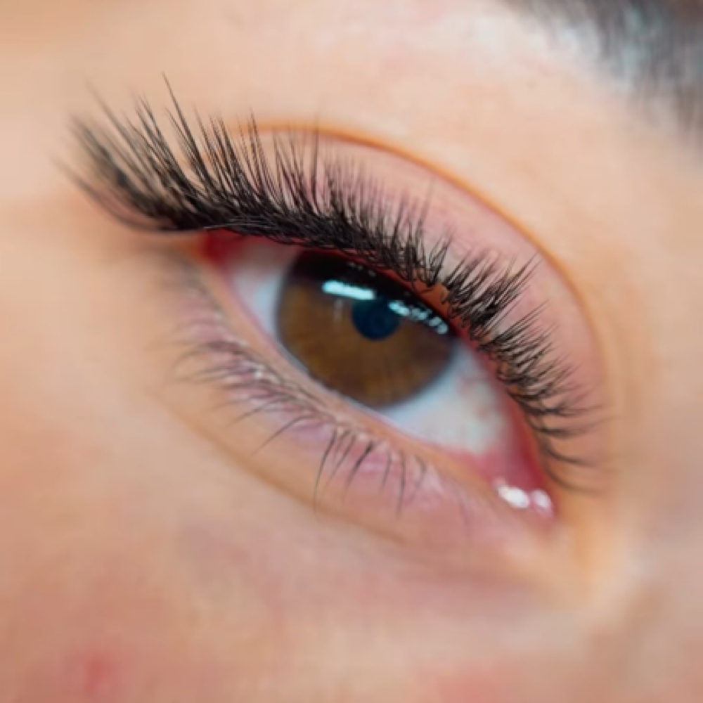 Lash Lift +tint at Sebby  Studio in Shorewood, IL