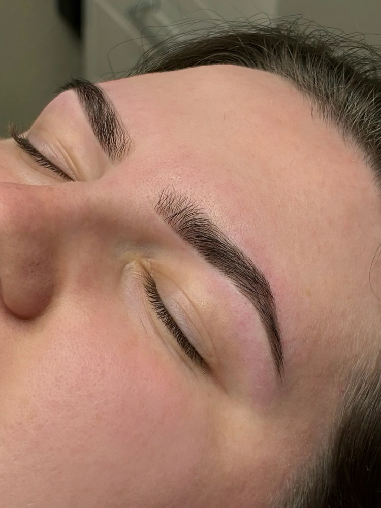 Brow Wax / Tint at Anaartiistry in Beaverton, OR