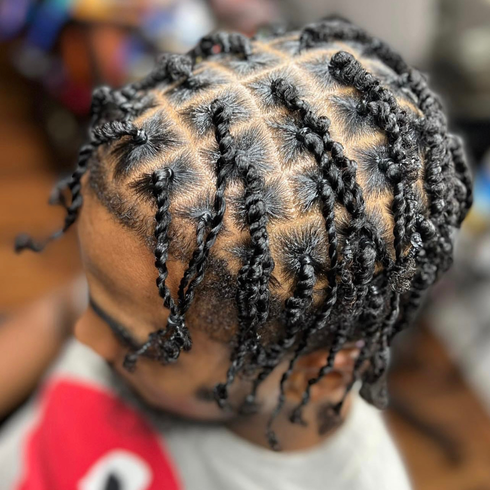 2 Strand Twist On Natural Hair