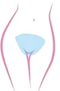 BrazilianWax 2-3-4 Month