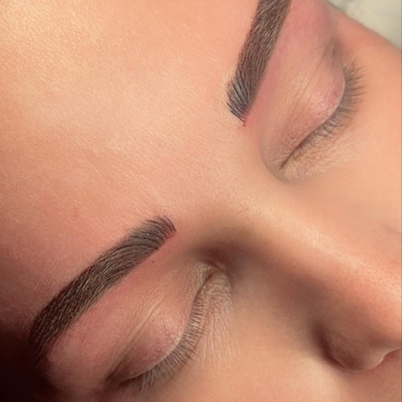 Eyebrow Touch Up at Ink 865 in Powell, TN