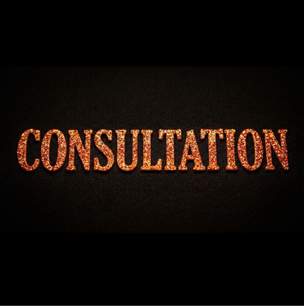 Consultations at Pixie Ink in Rockford, MI