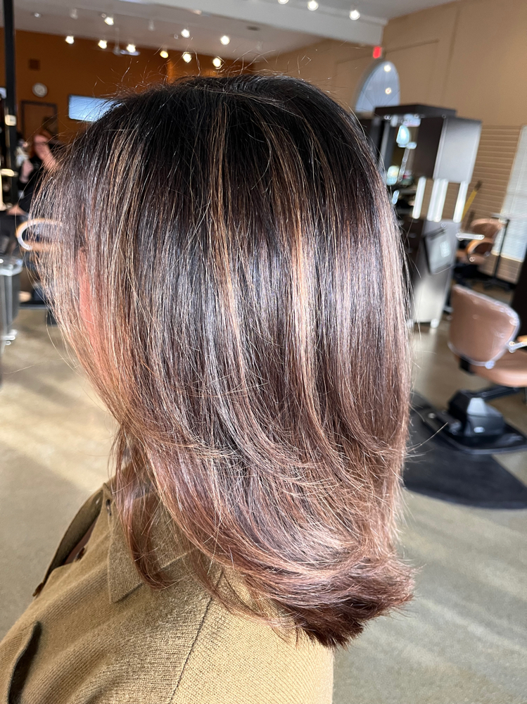 Partial Highlight/balayage Refresh