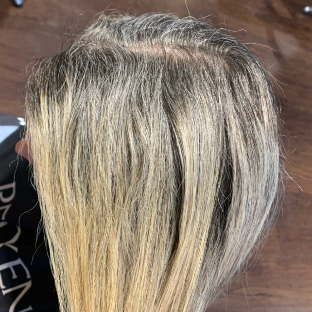 Root Color / Grey Coverage at colormejade in Fort Collins, CO