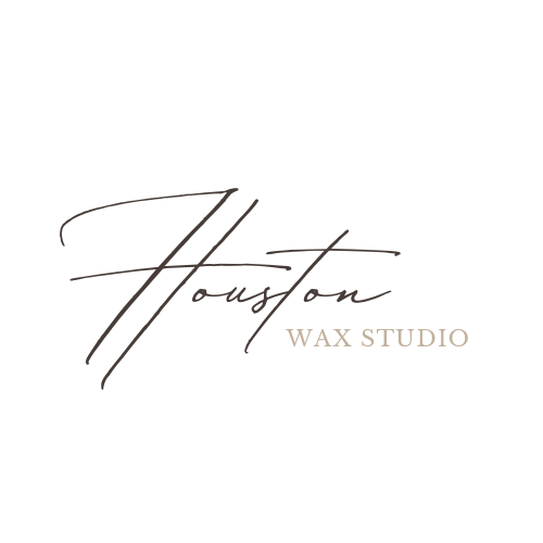 The Brow Training Course x HWS at Houston Wax Studio in Webster, TX