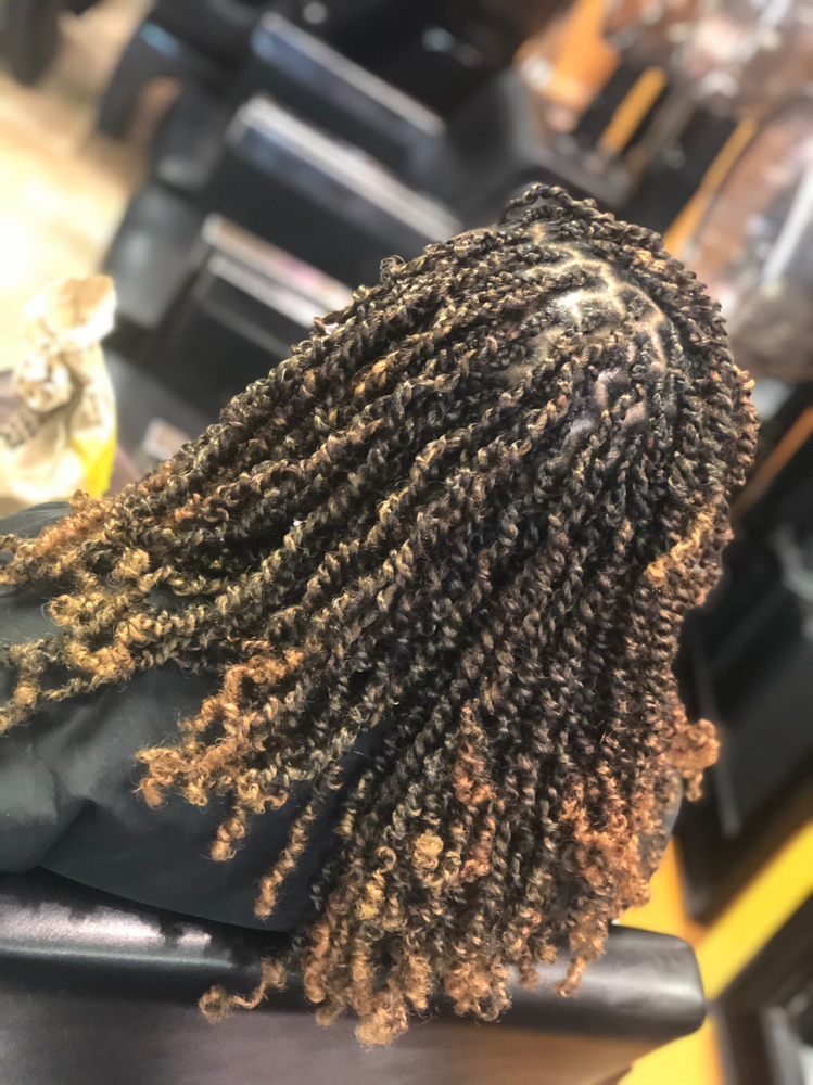 Spring Twists