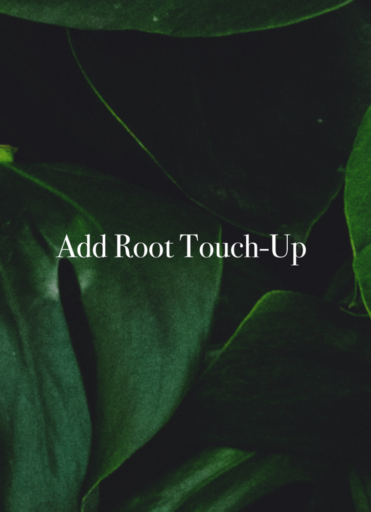 Add Root Touch Up at Anestie Beauty Lounge in Franklin Square, NY