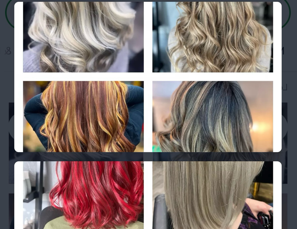 Full Highlight
