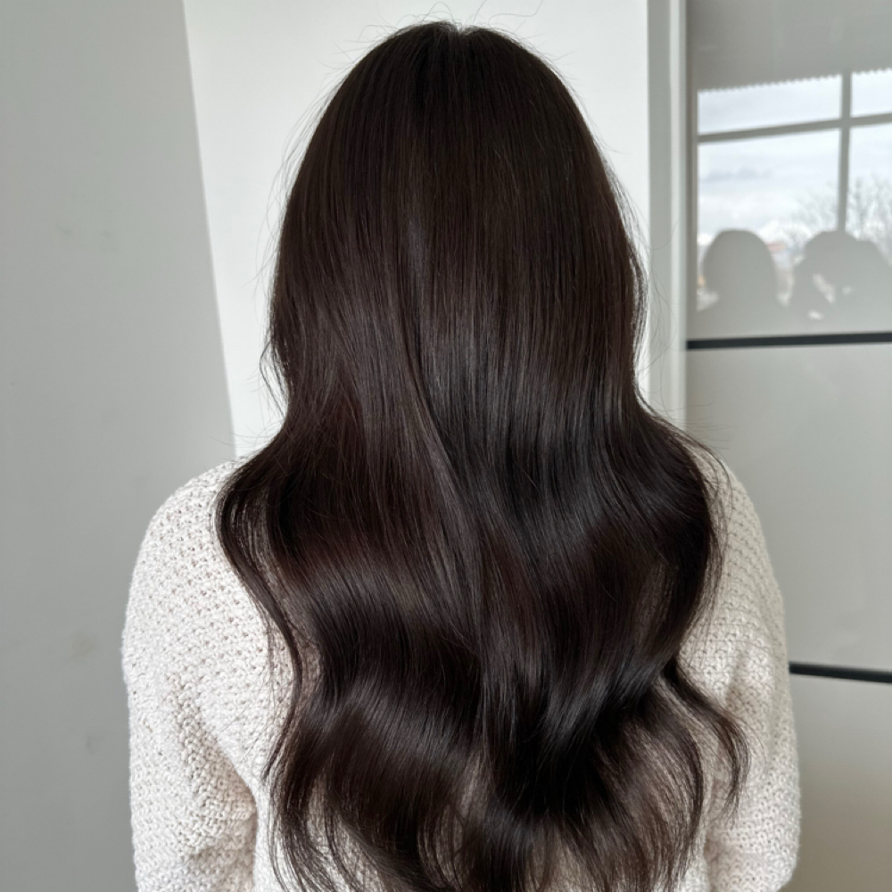 All Over Permanent Color at Salon Liora in American Fork, UT