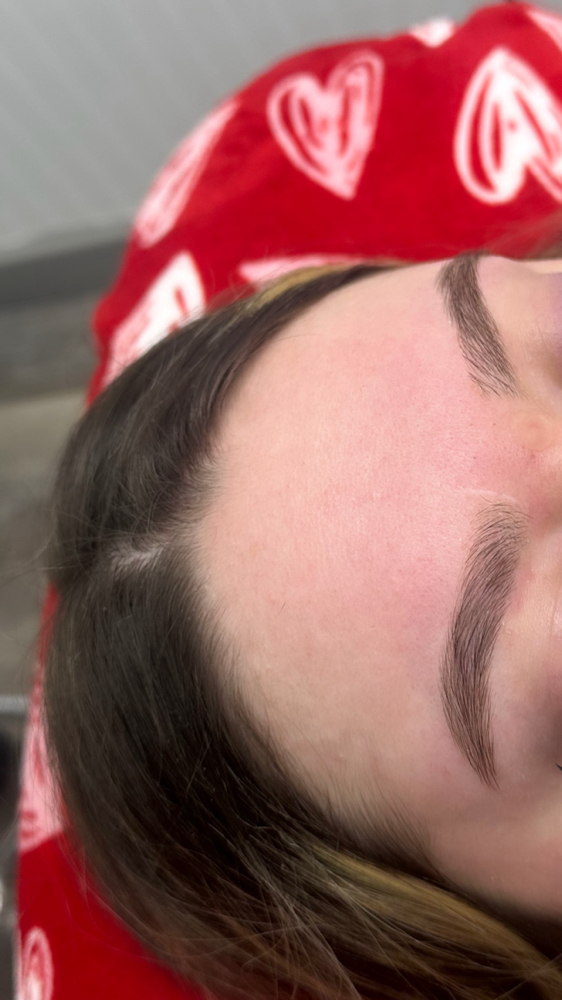 Brow Shape And Conceal