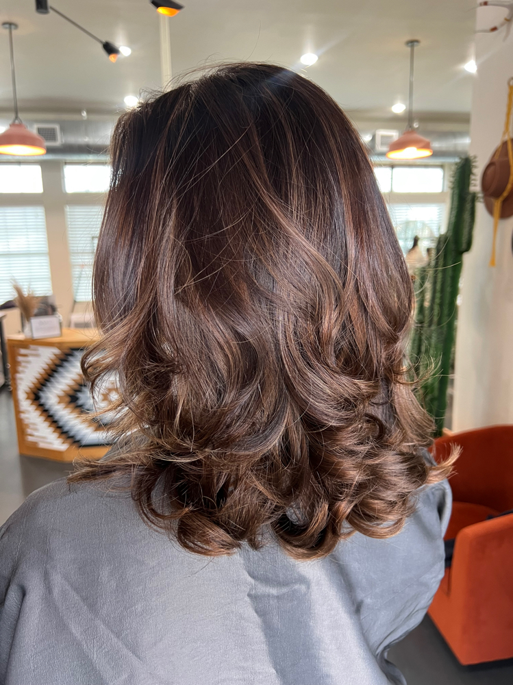 Brunette Refresh at Wild Mane Beauty in Georgetown, TX