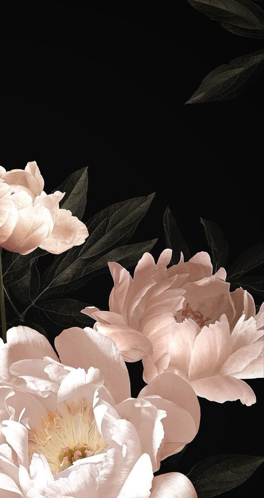 Lash Removal + Lash Bath at Lashedbyliyahh in Kent, WA