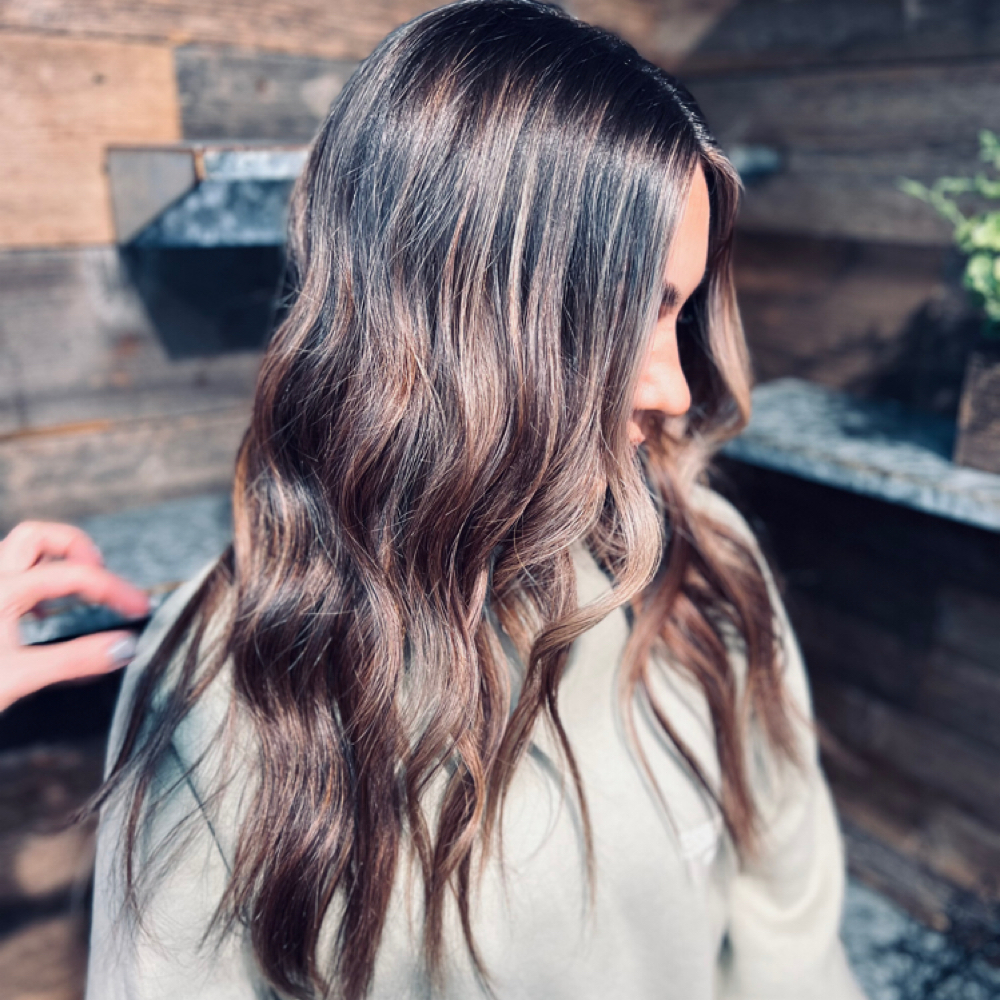 Foiliage W/Blowout at Luca Hair Professionals in Bloomingdale, IL