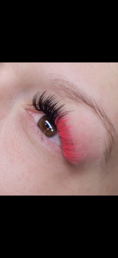 Lash Freestyle
