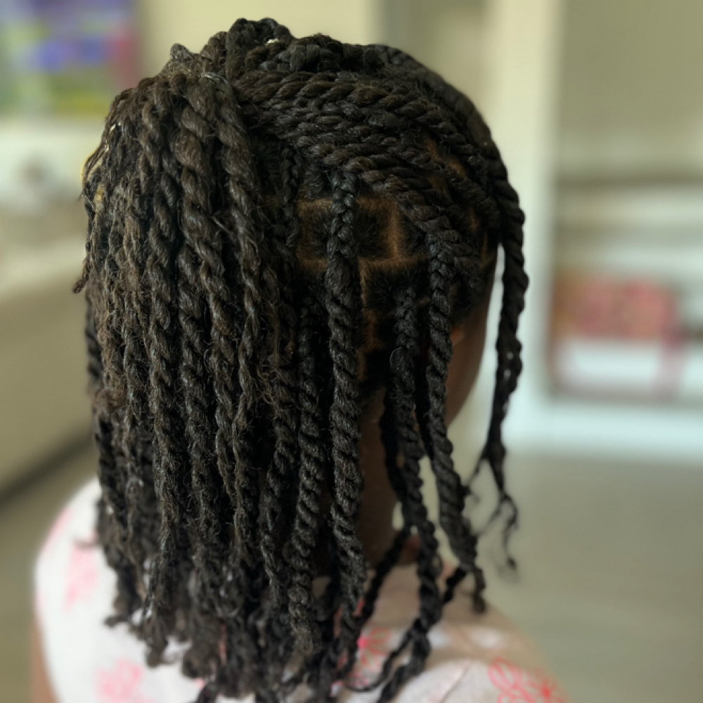 Natural Braids and twist at Soft Hands Soft Life Mobile Braids in Houston, TX