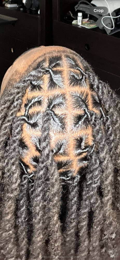 Loc Retwist at ROOT’D DESIGNS in Brooklyn, NY