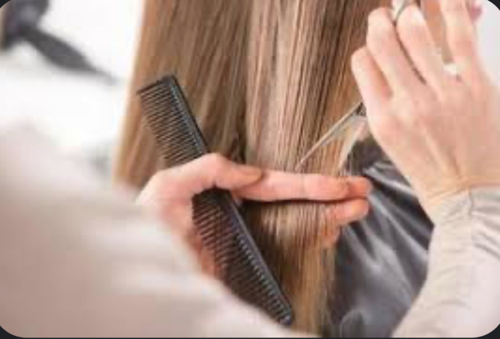 Women’s Haircut