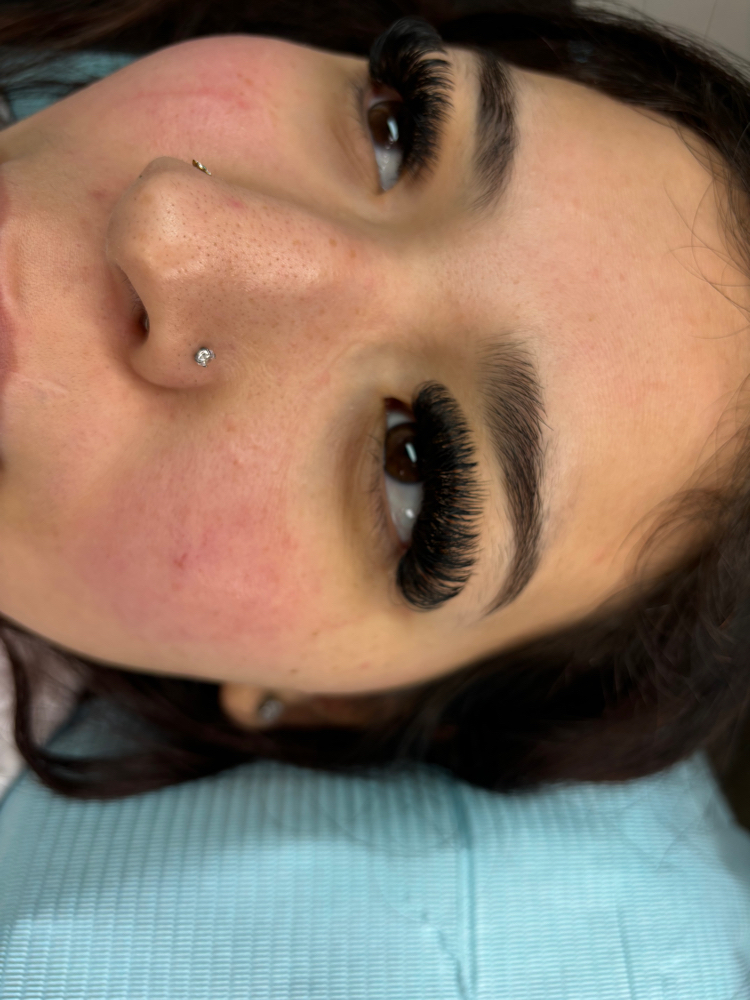 Volume Lashes
