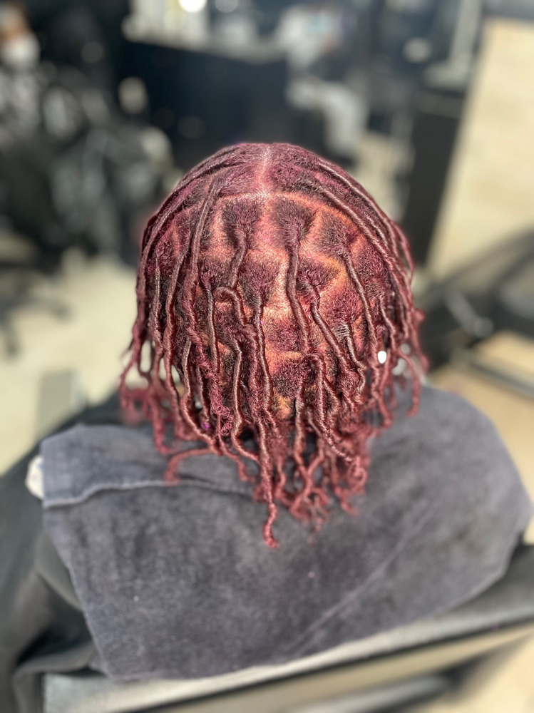 LARGE STARTER LOCS