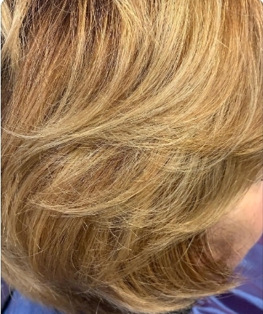 Hair Cut, Shampoo &  Dry