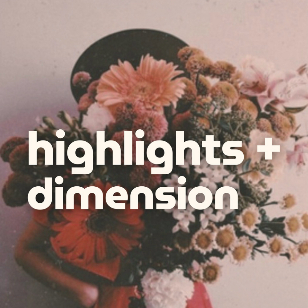 Highlights + Dimensional Color at Mildflower Salon in Utica, MI