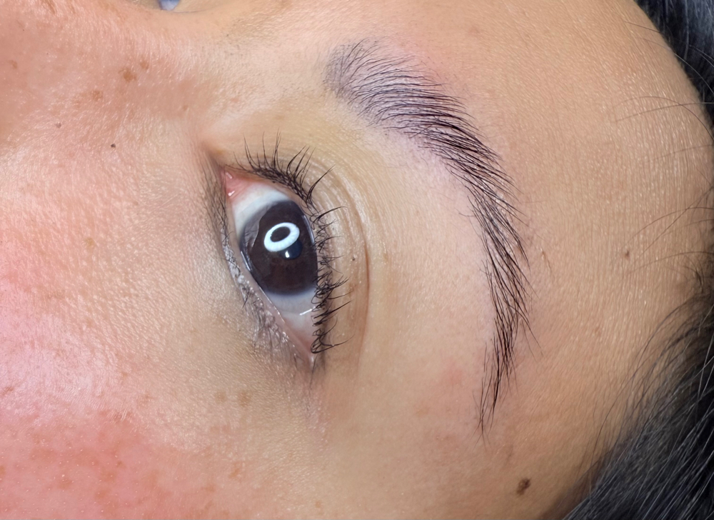 Lash Lift & Brow Lamination + tint at KAY - INK AND IVY BEAUTY & WELLNESS in Seville, OH