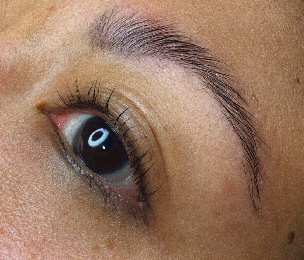 Lash Lift & Brow Lamination + tint