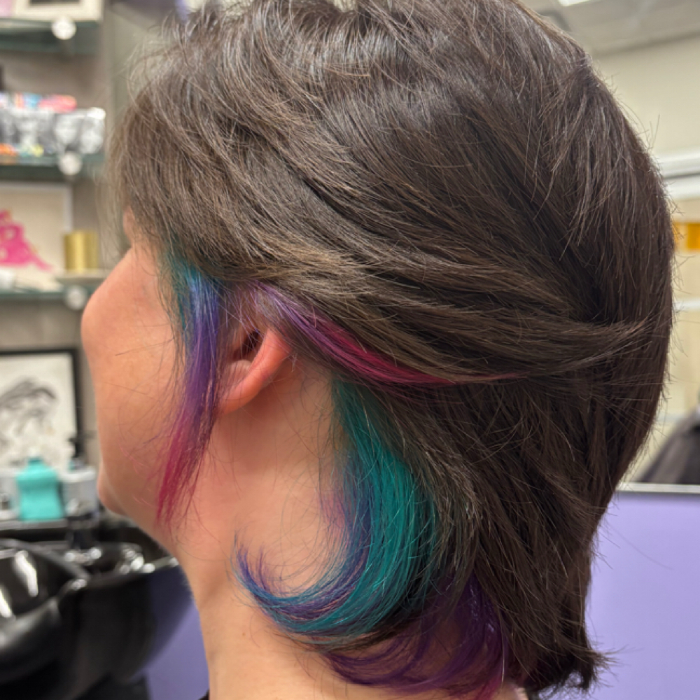 2 Hour Color at Bold Salon in Chattanooga, TN