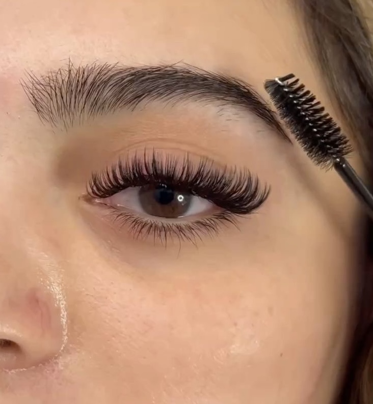 Volume Lashes