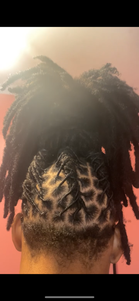 Loc retwist