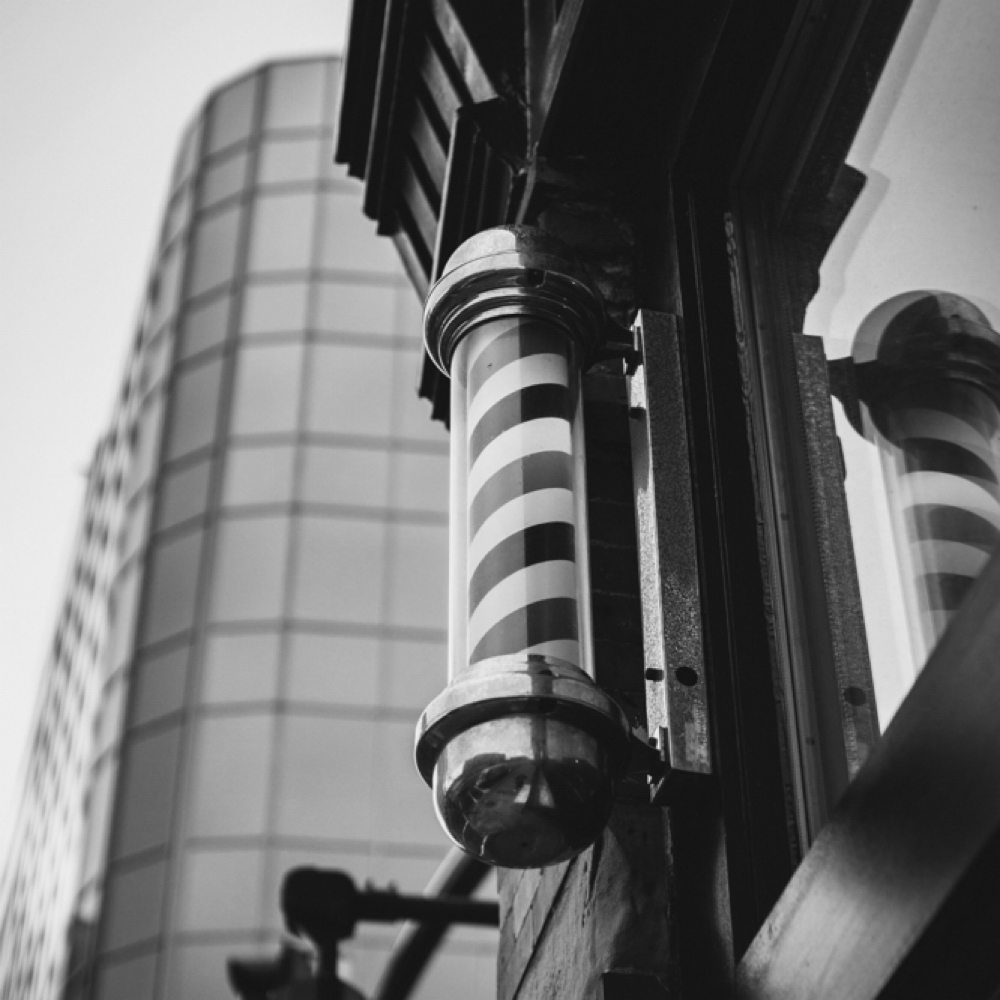 Premier Package 1-SAVE $15 PER CUT