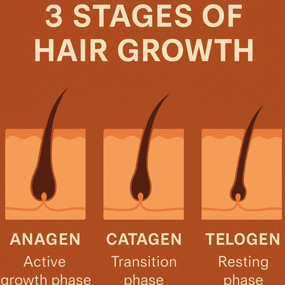 Brazilian Waxx at Touch Me Wax&Sugar Lounge in Jacksonville, FL