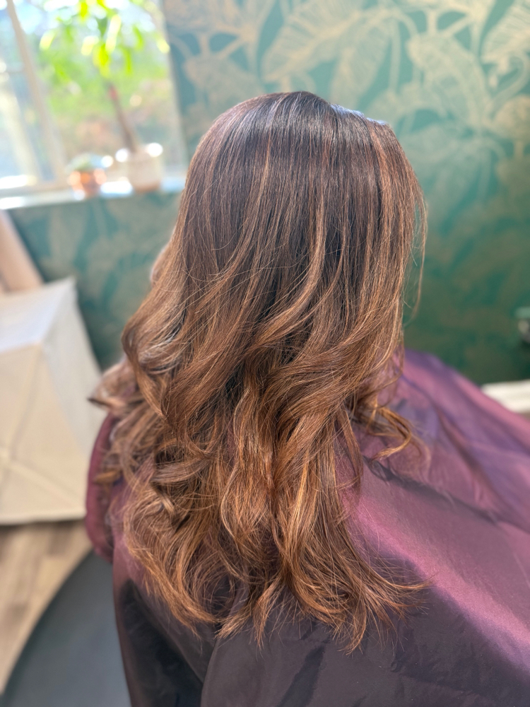 HairColor Partial Highlight HairCut