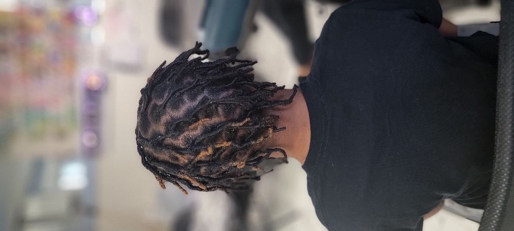 Starter Locs at Natural Identity in Buffalo, NY