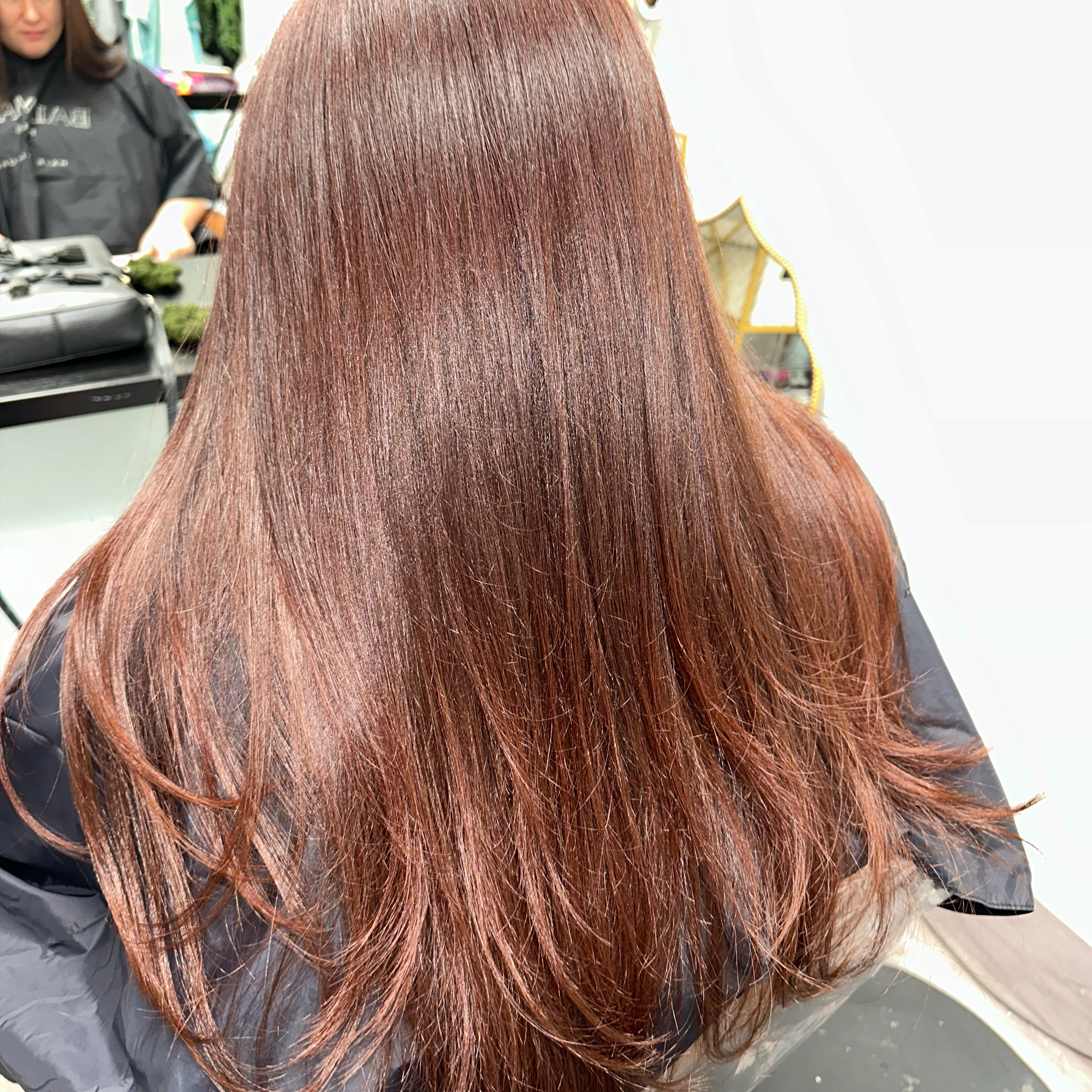 Hair Health Rituals at Lush Beauty Bar Tampa in Tampa, FL