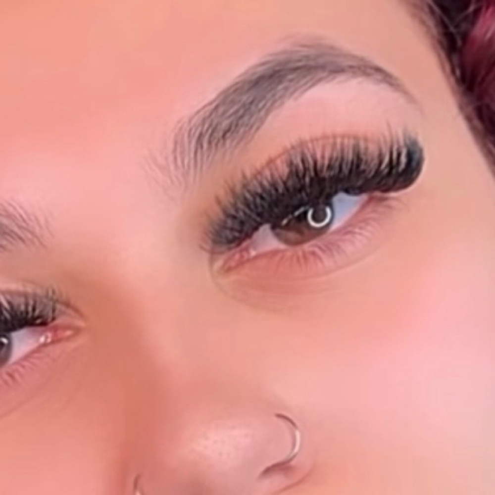 Vixen Set at Blinked Lashes in White Plains, NY